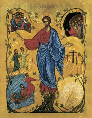 Grija de căpătâi a Păstorului pentru oi