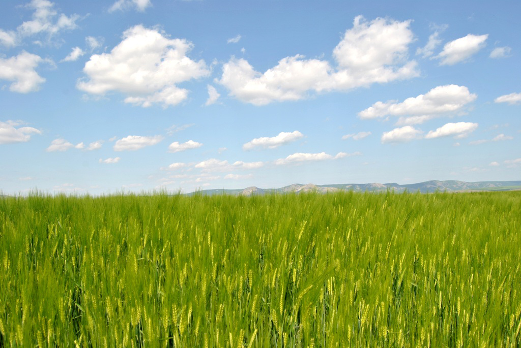 De ce, în lucrarea mântuirii, are o autoritate mai mare Descoperirea dumnezeiască decât mintea omenească?