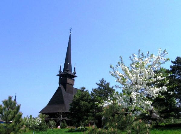 Ce este Descoperirea dumnezeiască?