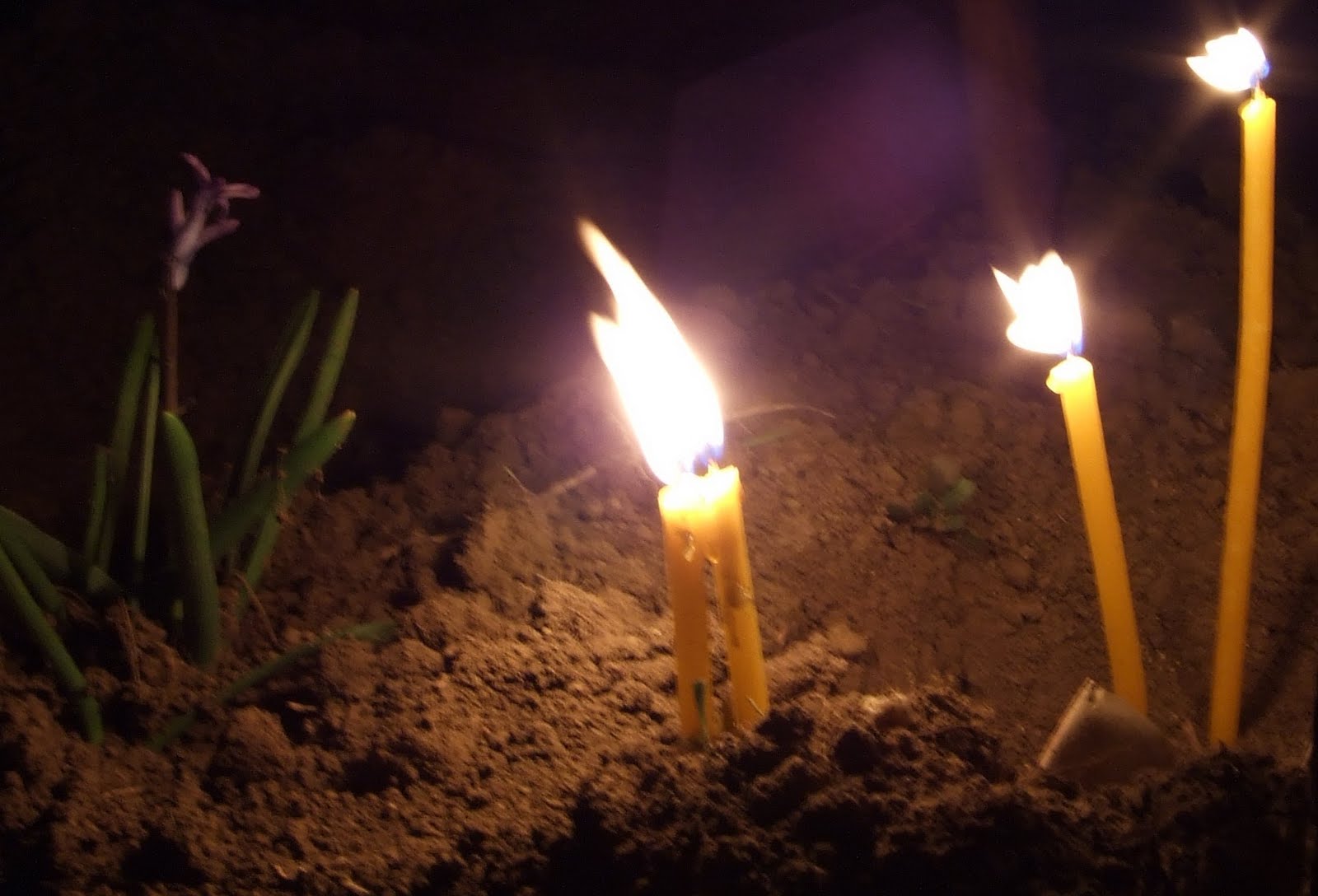 A trecut la Domnul părintele Alexandru Coman de la Parohia Petreşti I, protopopiatul Sebeş