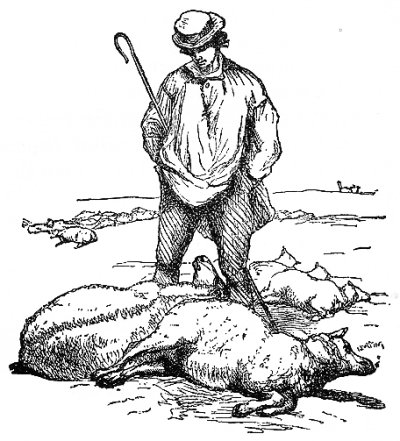 Păstorii cei răi vor fi puşi la plată