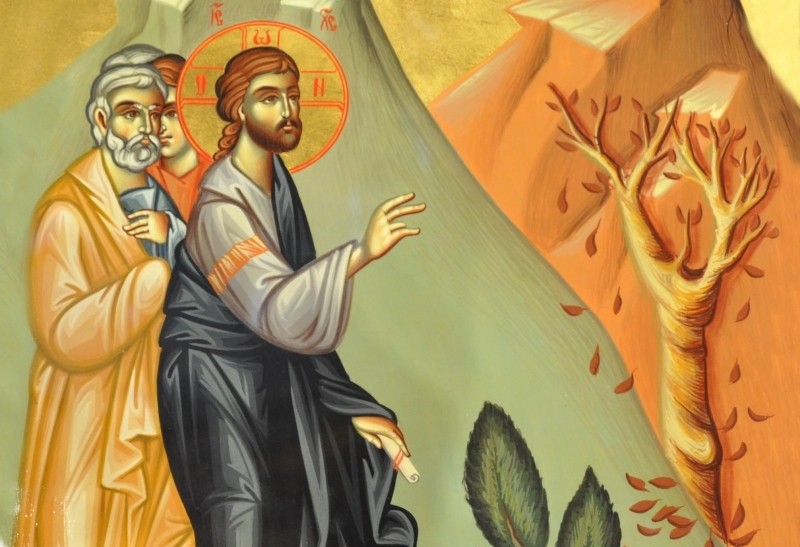 Postări de post. De pe Facebook adunate