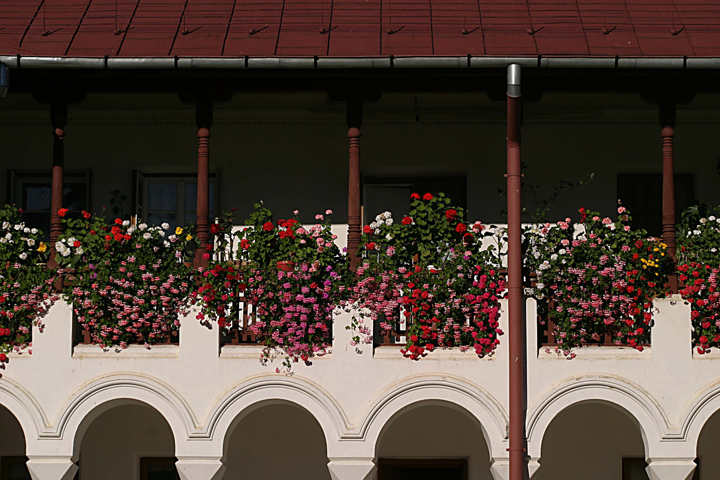 „Dacă voia lui Dumnezeu este în noi, şi Cerul este în noi, prin împlinirea poruncilor Lui”