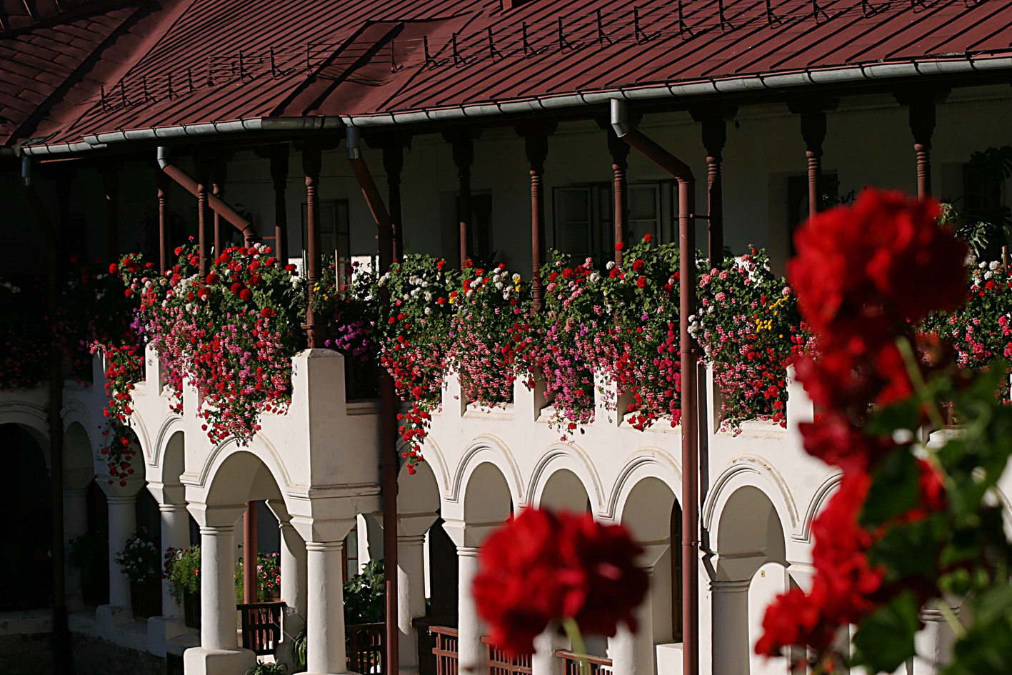 „Dacă voia lui Dumnezeu este în noi, şi Cerul este în noi, prin împlinirea poruncilor Lui”