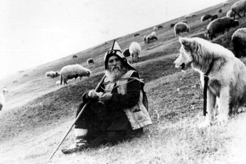 Este bine să cânte creştinii din instrumente muzicale sau nu?