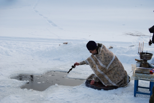 Cei ce urmează Scripturilor vor fi adăpaţi
