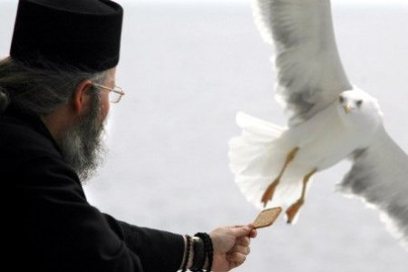 Mai fericit este a da decât a primi