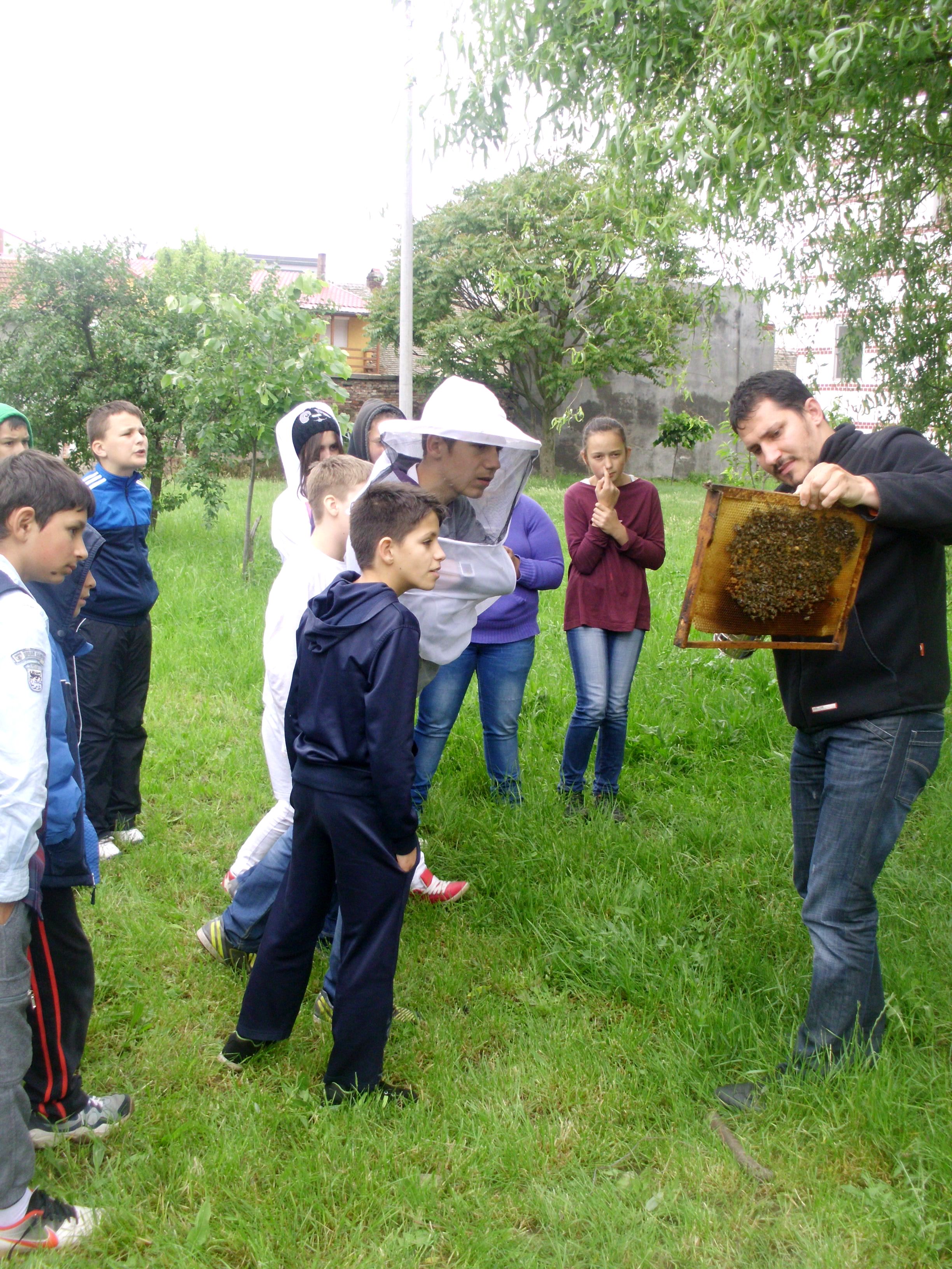 Copiii de la Centrul Educaţional „ANTIMIS” din Timişoara au învăţat despre apicultură Copiii de la Centrul Educaţional „ANTIMIS” din Timişoara au învăţat despre apicultură