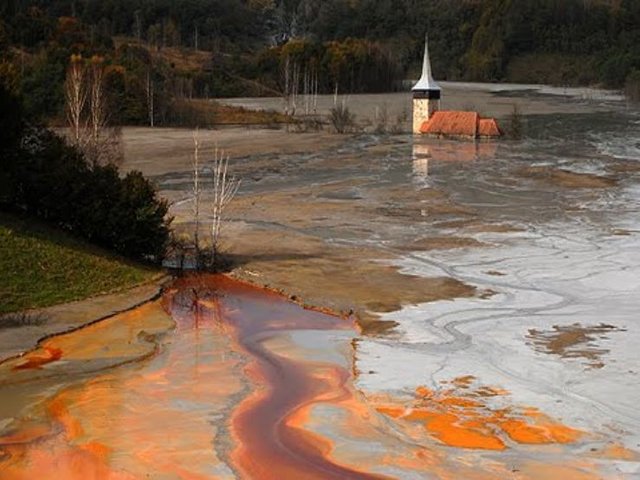 Societatea civilă a votat din stradă