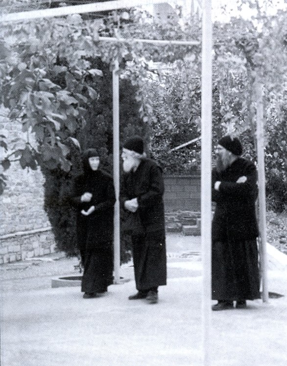 Comportament cu discernământ