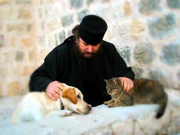 Pacea şi conflictele dintre oameni