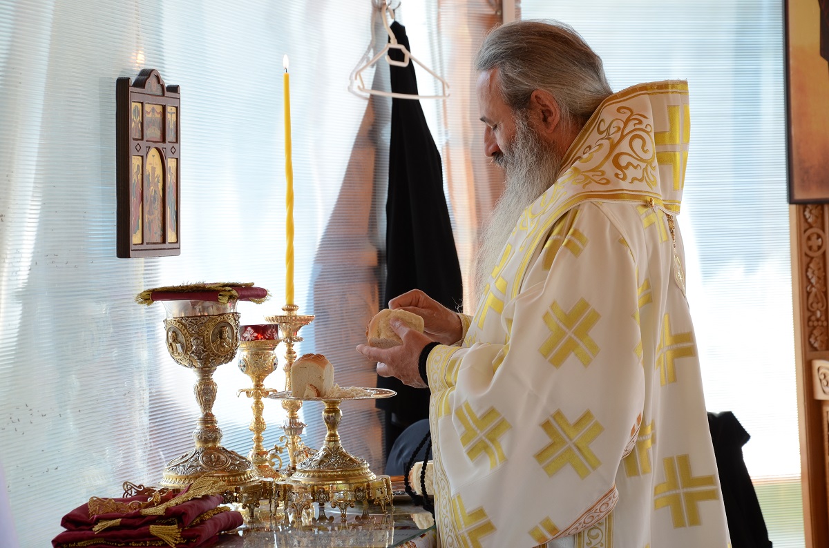 Sfântul Mare Mucenic Pantelimon, sărbătorit la Mănăstirea Paltin prin Liturghie arhierească