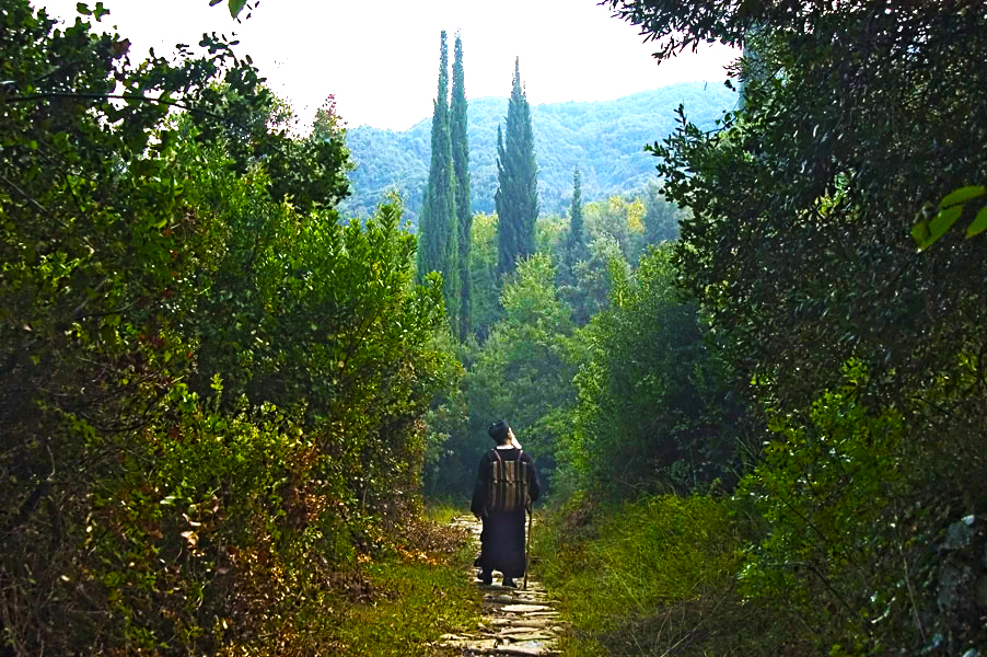 Rănile care nu se văd şi păcatele care nu se cunosc, rău şi greu se îndreaptă