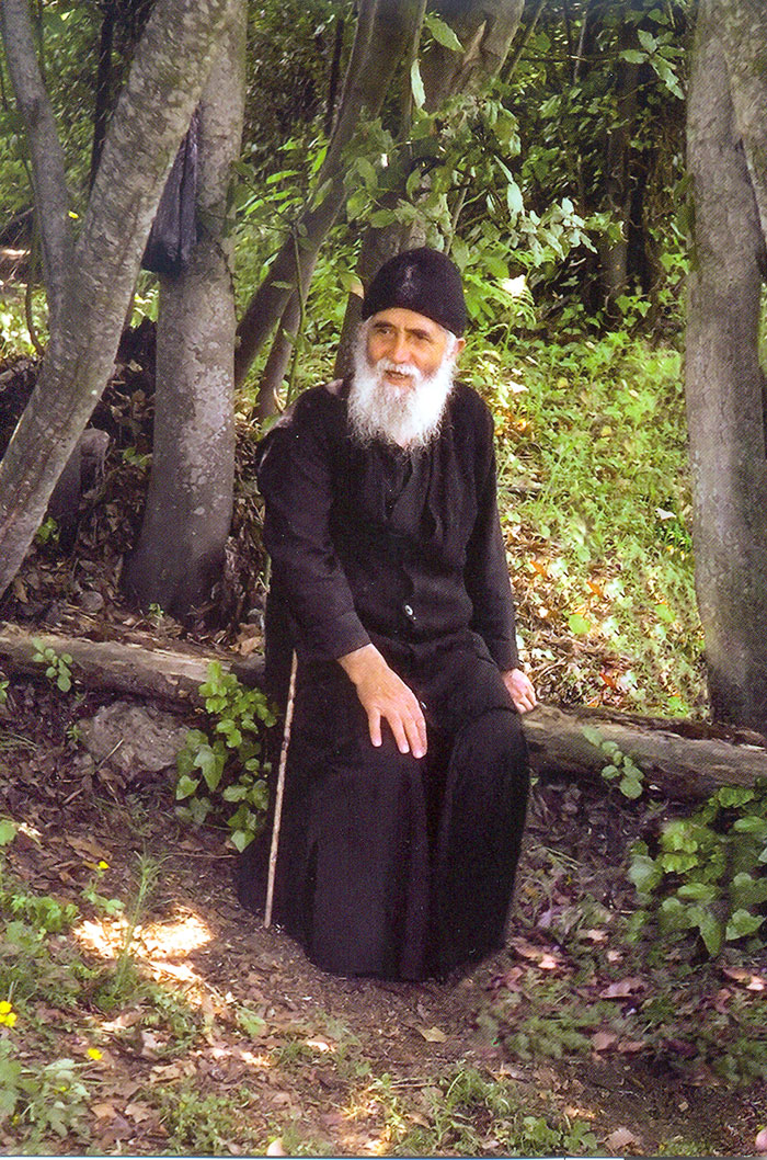 Să luăm exemplu de la animale