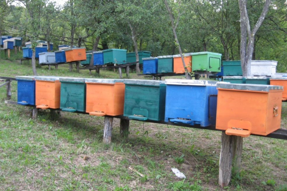 Au fost distribuite materialele către beneficiari în cadrul proiectului „Fii apicultor, fii darnic!”