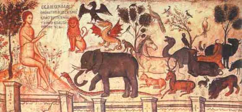 Atunci când omul n-a mai răspuns cu iubire lui Dumnezeu, animalele s-au sălbăticit