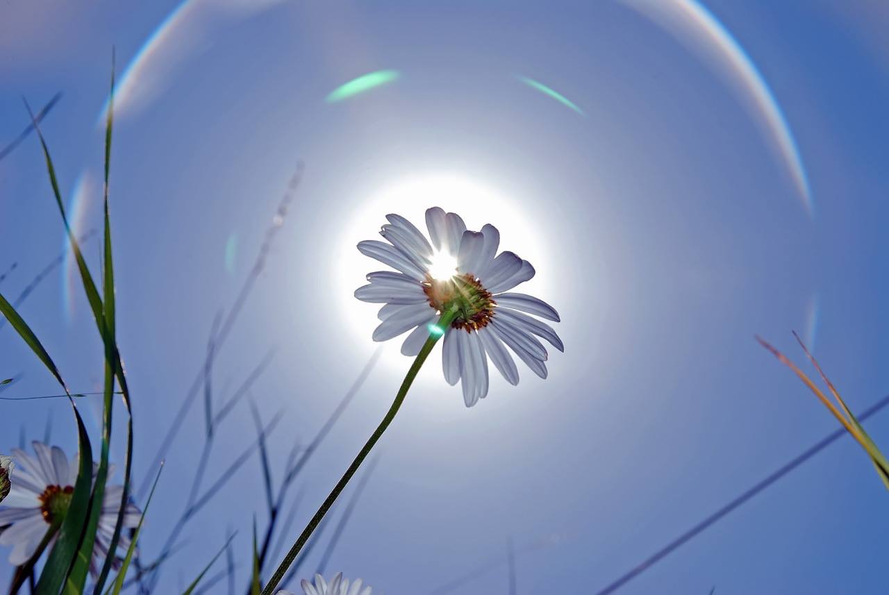 „Vie împărăţia Ta”