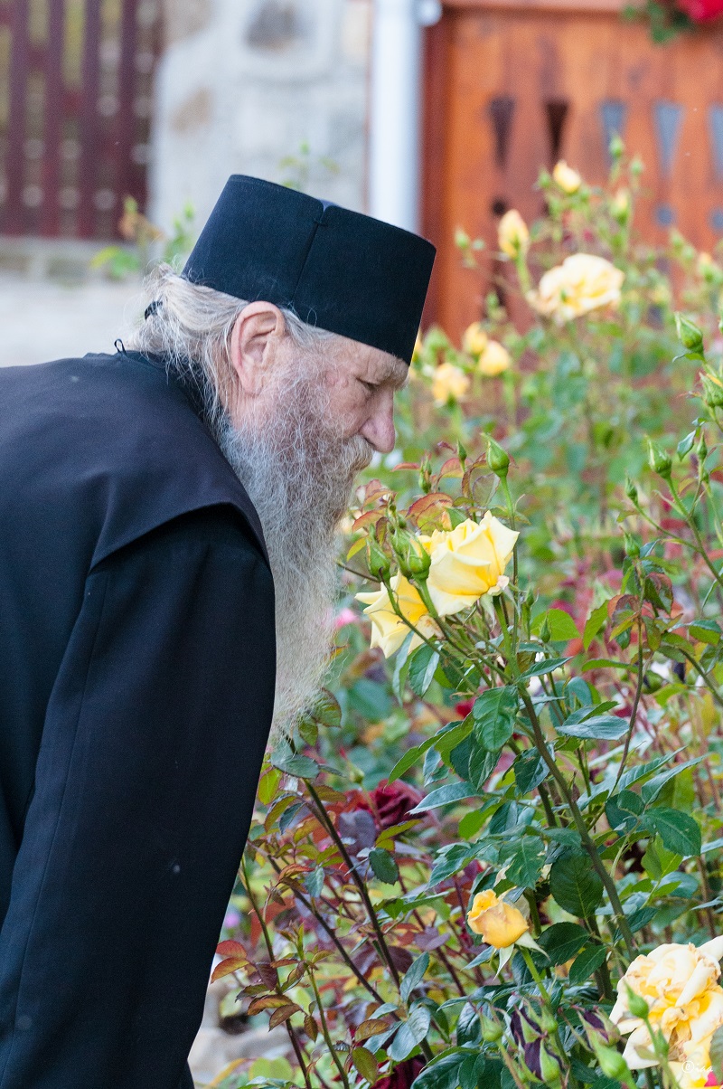 De ce a trecut la Domnul părintele Antonie, tocmai în Postul Adormirii Maicii Domnului De ce a trecut la Domnul părintele Antonie, tocmai în Postul Adormirii Maicii Domnului