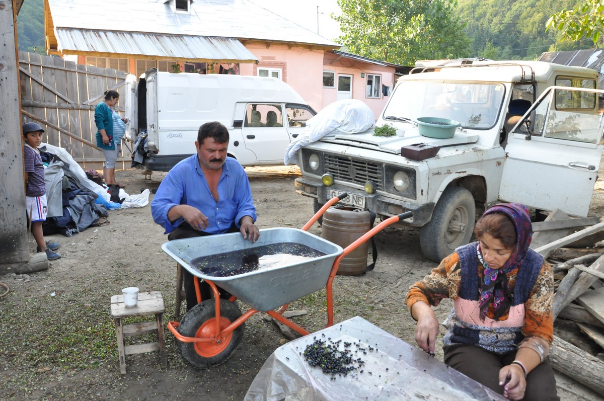 Solidaritate şi filantropie pentru sinistraţii din Vaideeni