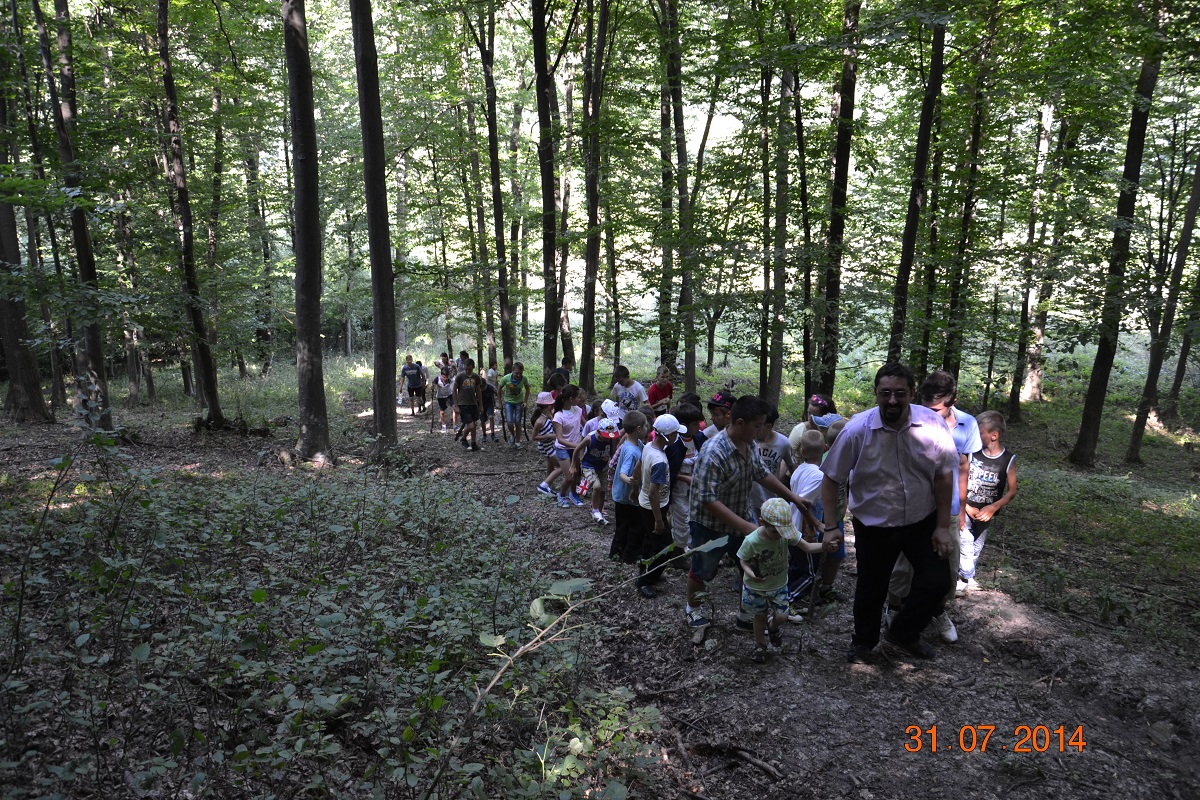 Tabără de o zi în parohia Holt