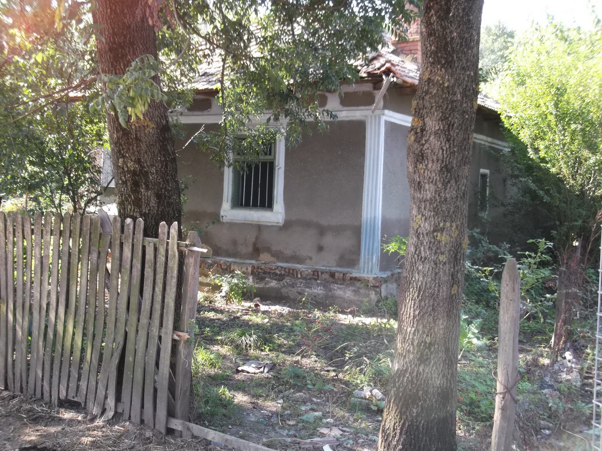 Compasiune pentru sinistraţii din sudul ţării