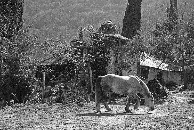 Urcuşuri apofatice ale minţii