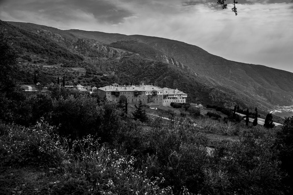 Ca un ciorchine plin de viaţă