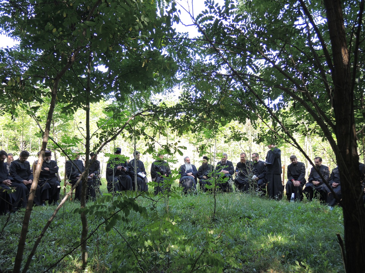 „Sfinţii Martiri Brâncoveni - modele pentru creştinii de azi. Rolul mirenilor în mărturisirea credinţei“