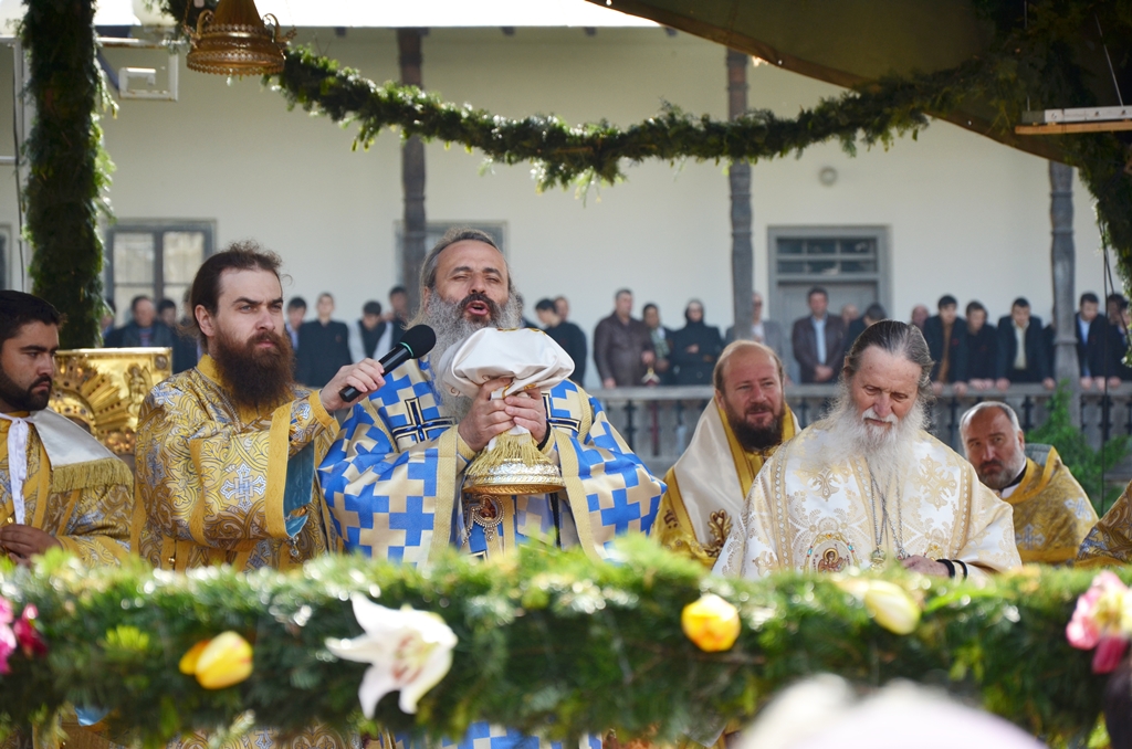 Concurs fotografie Sfânta Împărtășanie (foto 2) - Vasile Valesecanu