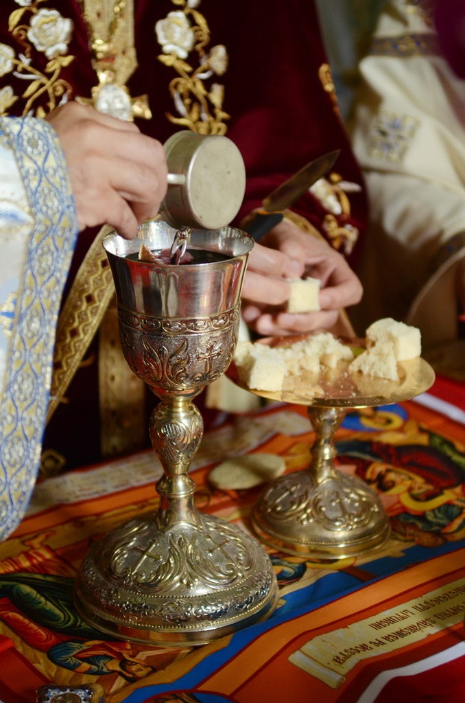 Concurs fotografie Sfânta Împărtășanie (foto 1) - Vasile Valesecanu