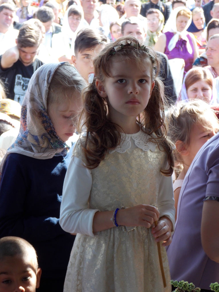 Concurs fotografie Sfânta Împărtășanie (foto 2) - Stelian Grădinaru