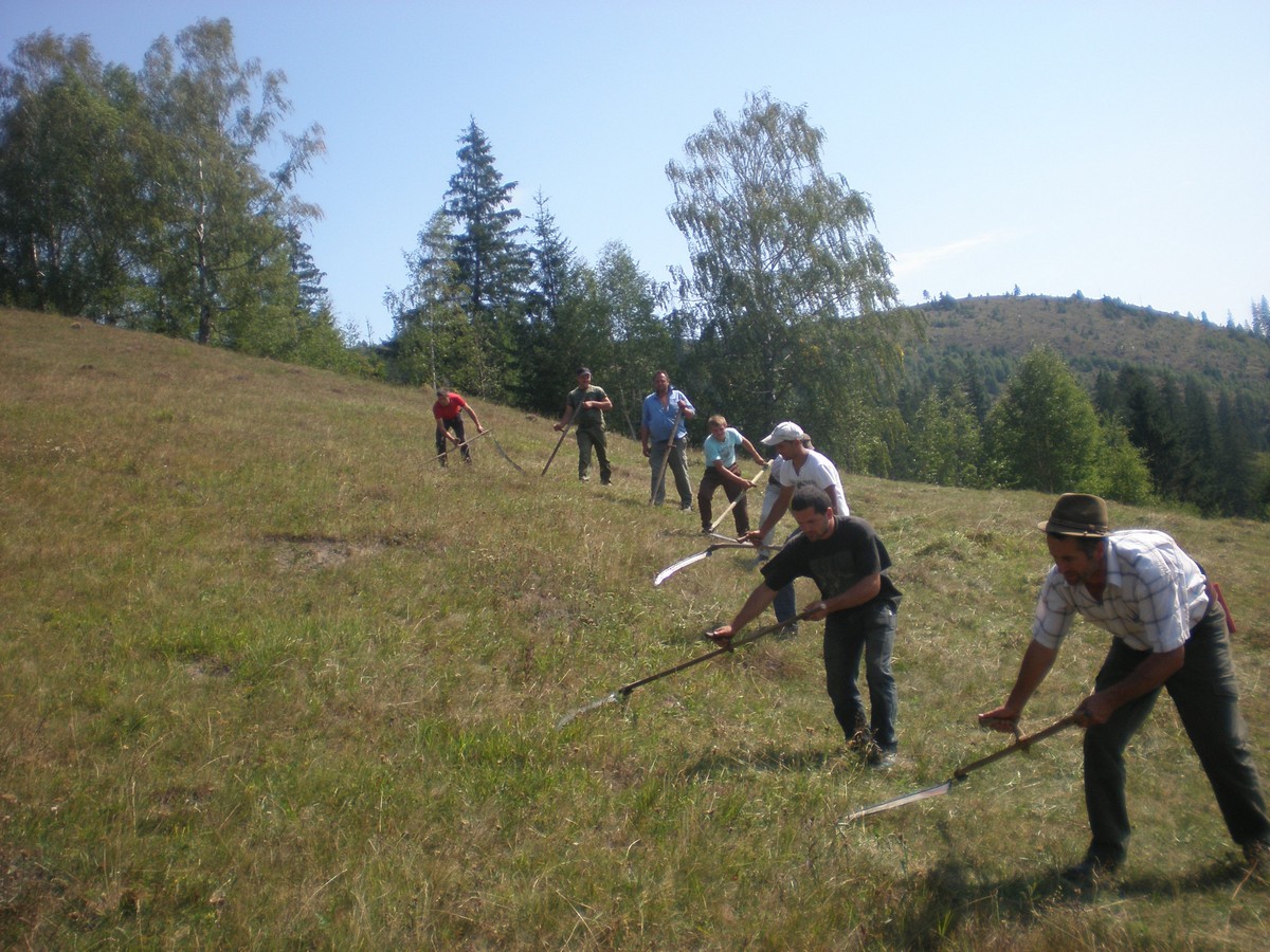 Parohiile Protoieriei Câmpulung Moldovenesc, în sprijinul căminului de bătrâni din Suceava Parohiile Protoieriei Câmpulung Moldovenesc, în sprijinul căminului de bătrâni din Suceava