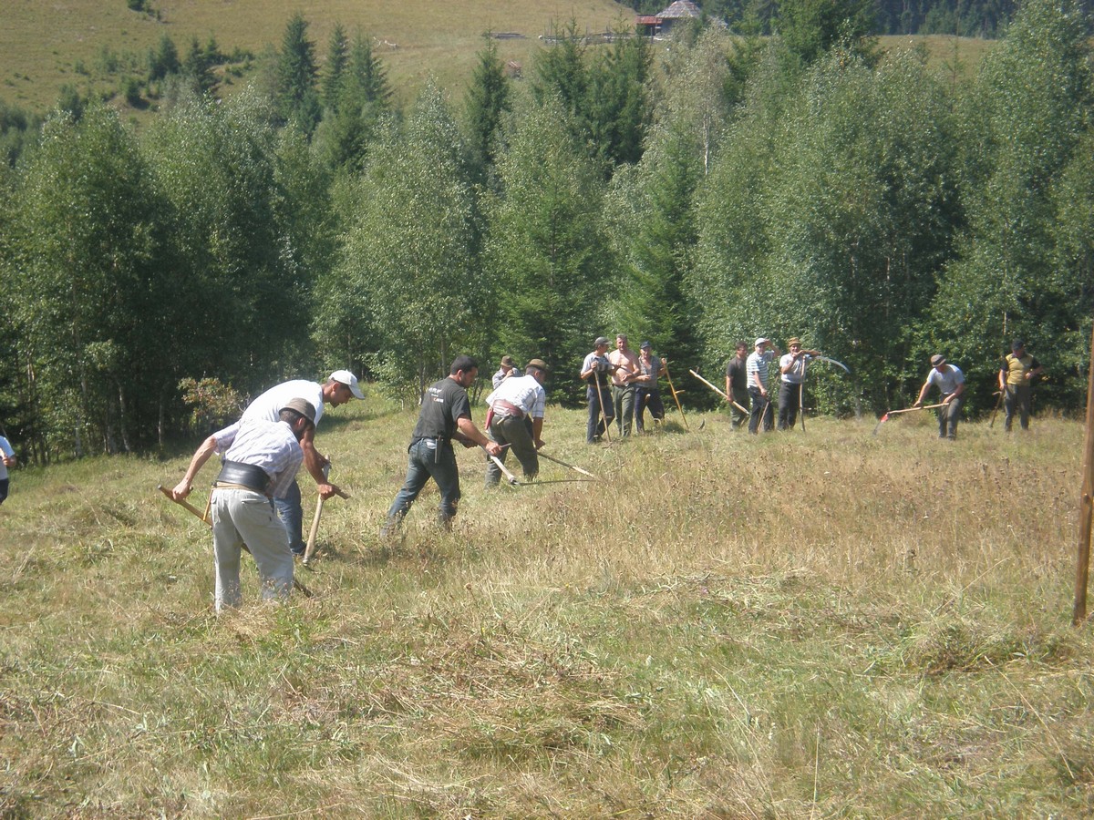Parohiile Protoieriei Câmpulung Moldovenesc, în sprijinul căminului de bătrâni din Suceava