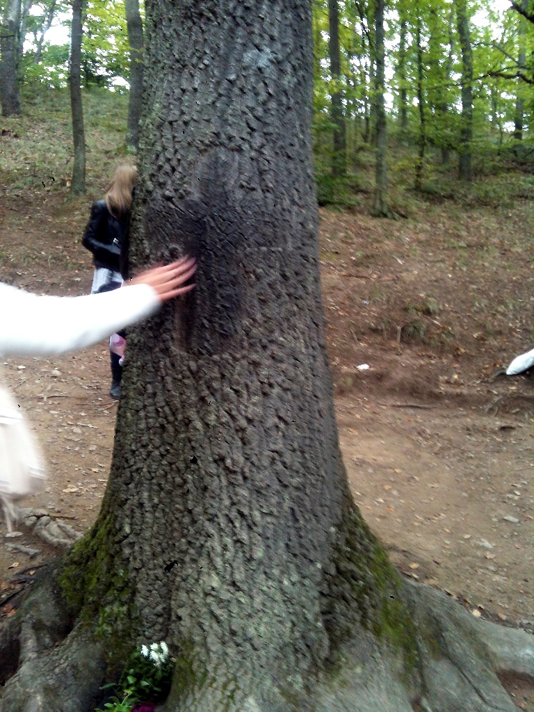 Concurs fotografie Pași de pelerin (Foto 2) - George-Justinian Constantinescu