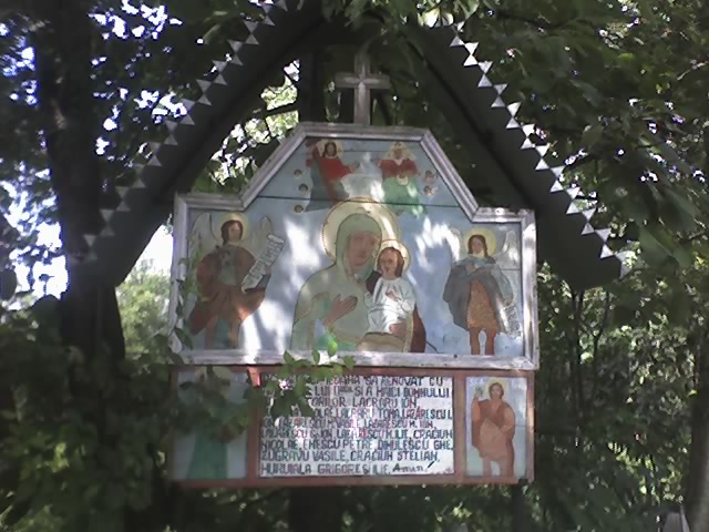 Concurs fotografie Pași de pelerin (Foto 1) - Nicoleta Enculescu