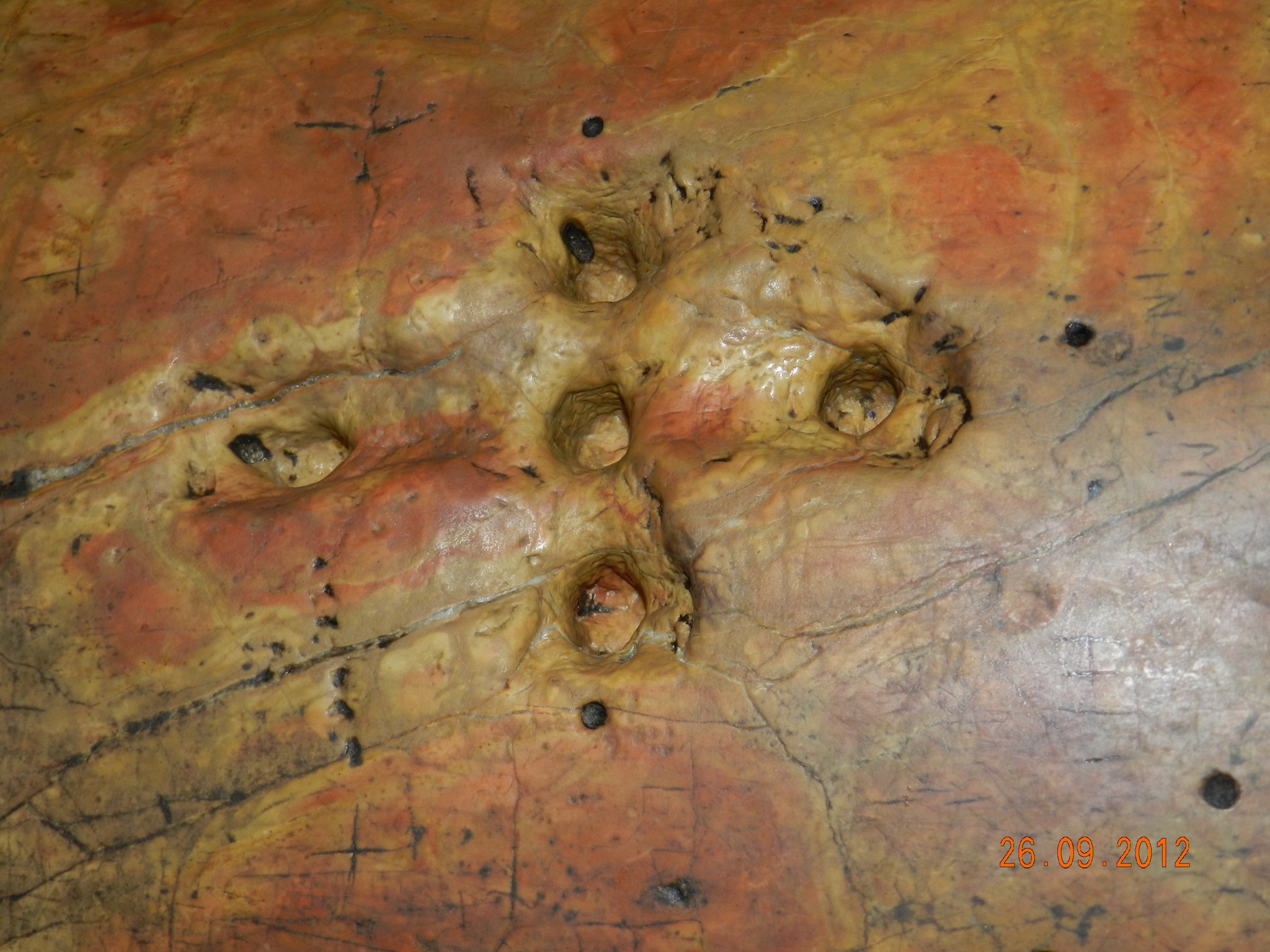 Concurs fotografie Pași de pelerin (Foto 1) - Tiberius Cantaragiu