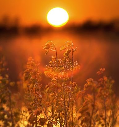 Dragoste către toţi