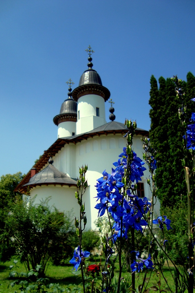 Concurs fotografie Pași de pelerin (Foto 1) - Andreea Stancu
