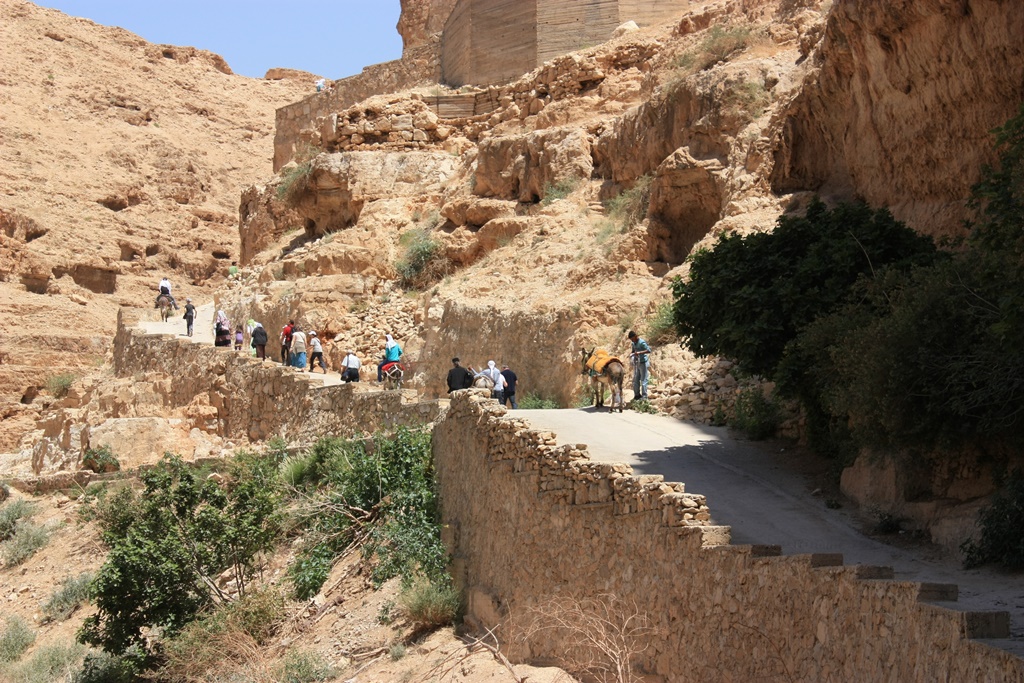 Concurs fotografie Pași de pelerin (Foto 1) - Cătălin Scoipan