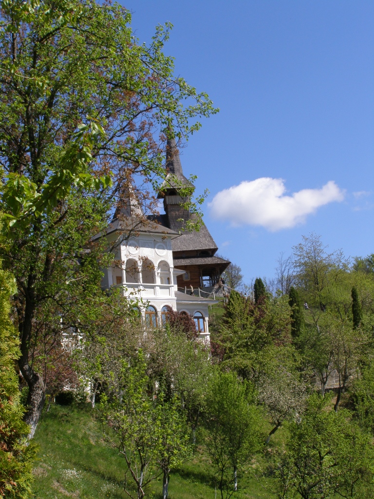 Concurs fotografie Pași de pelerin (Foto 1) - Codruța Elena Leaua