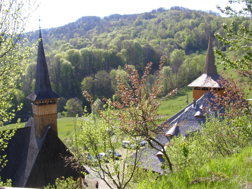 Concurs fotografie Pași de pelerin (Foto 2) - Codruța Elena Leaua