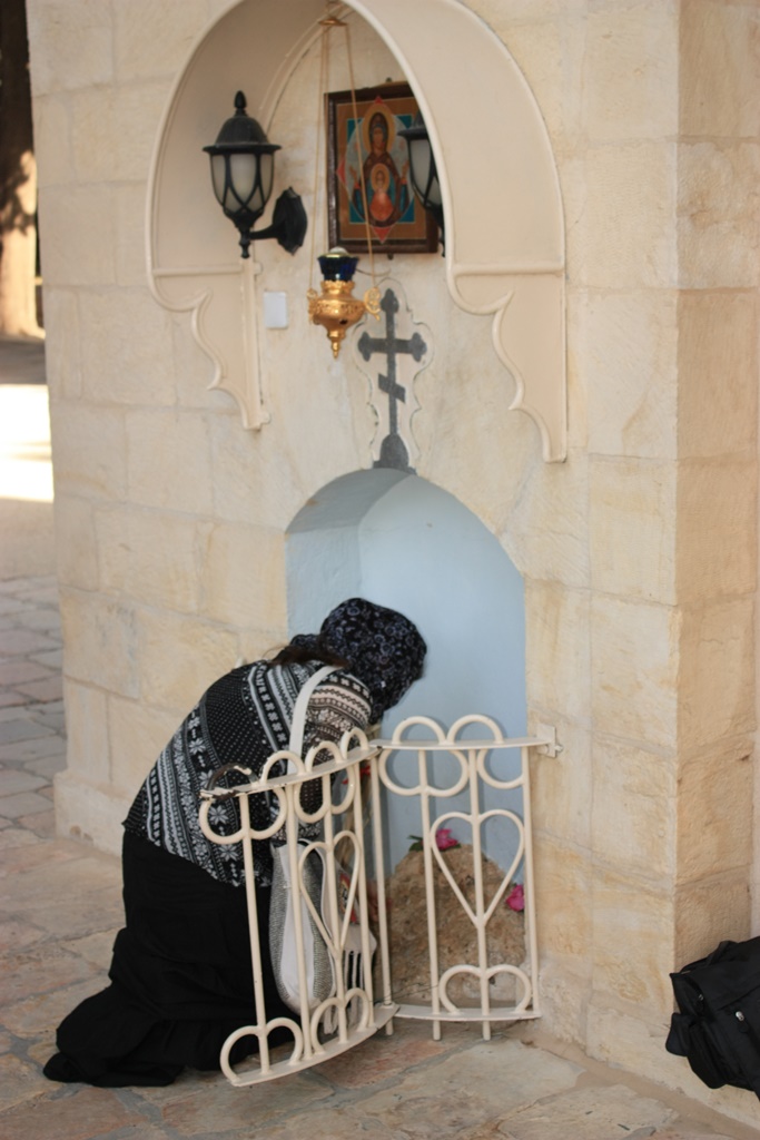 Concurs fotografie Pași de pelerin (Foto 1) - Iuliana Timofte