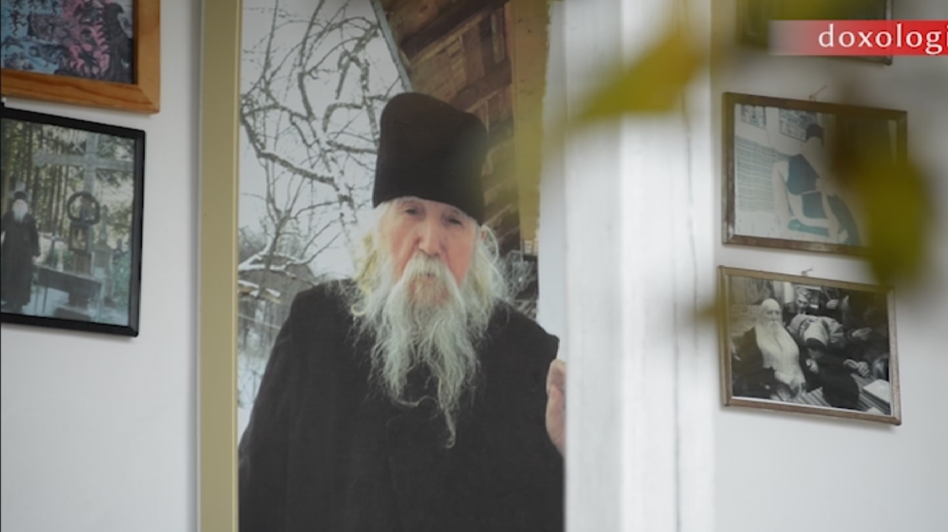 „Închinându-mă Părintelui Cleopa...”