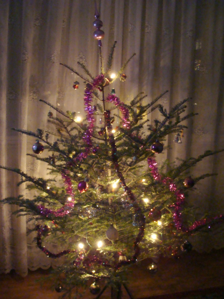 Concurs fotografie Bucuria Sărbătorilor de iarnă (Foto 1) - Andreea Neacșu