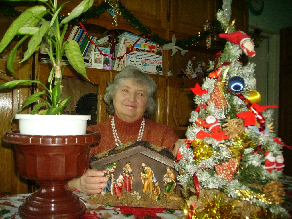 Concurs fotografie Bucuria Sărbătorilor de iarnă (Foto 1) - Dragos-Roman Floare