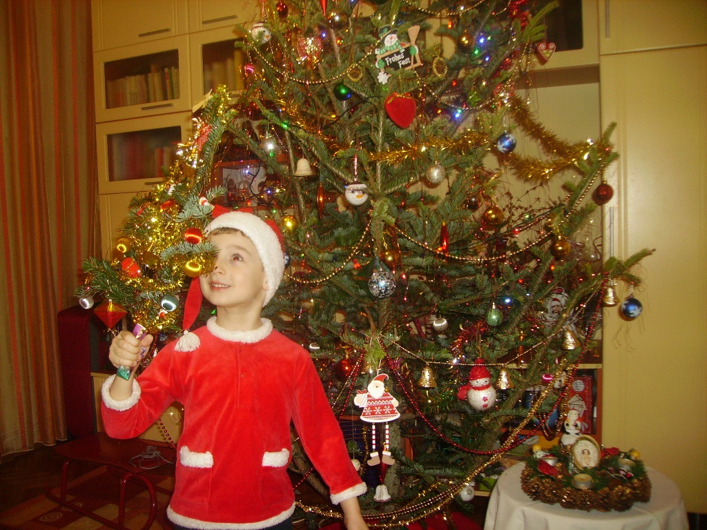 Concurs fotografie Bucuria Sărbătorilor de iarnă (Foto 2) - Dragos-Roman Floare