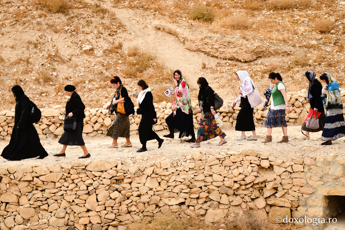 Viața omului – floarea câmpului