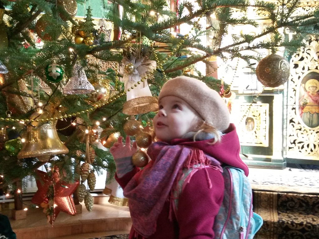 Concurs fotografie Bucuria Sărbătorilor de iarnă - Silvia Maria Rusu