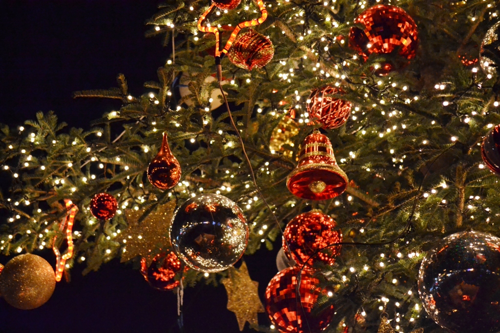 Concurs fotografie Bucuria Sărbătorilor de iarnă (Foto 2) - Adriana Tofanescu