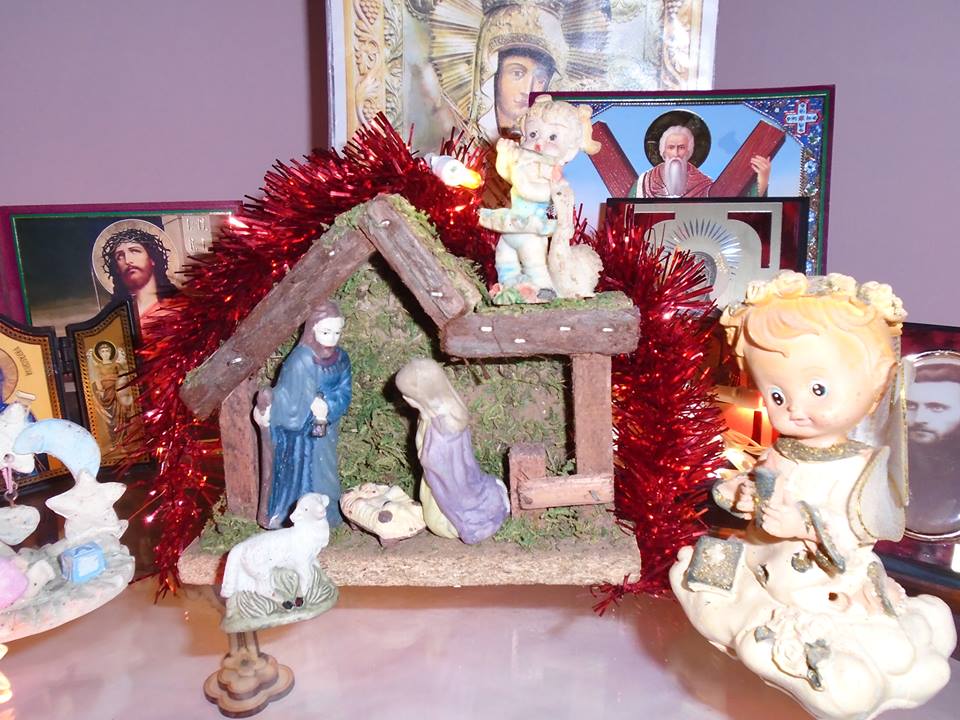 Concurs fotografie Bucuria Sărbătorilor de iarnă (Foto 1) - Catalina Andreea Tirca